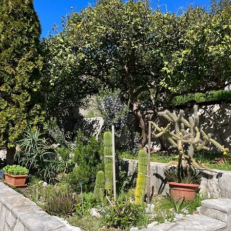 Lägenhet Cvjetkovic *