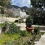 Cvjetkovic * Mlini