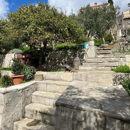 Apartment Cvjetkovic Mlini