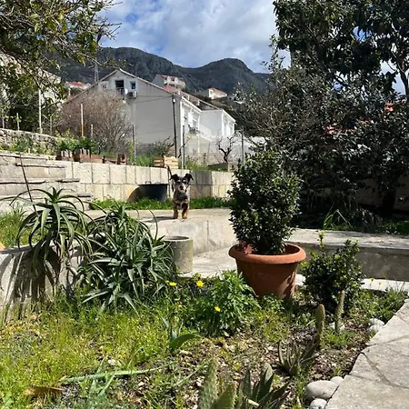 Cvjetkovic * Mlini