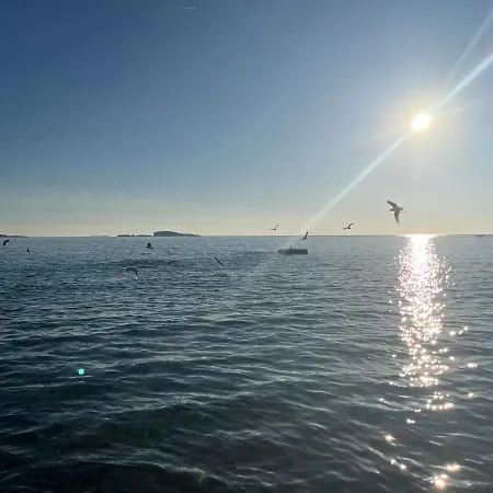 Cvjetkovic * Mlini