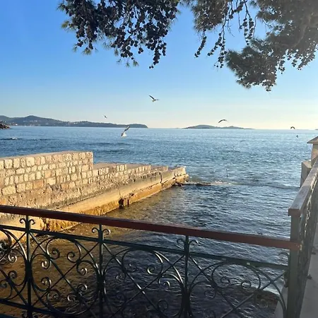 Cvjetkovic *