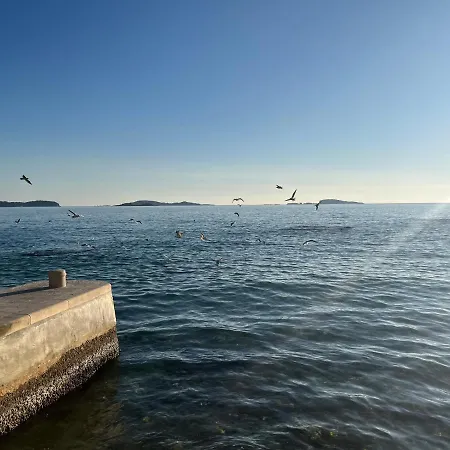 Cvjetkovic * Mlini